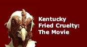Kentucky Fried Cruelty: The Movie