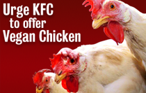 Urge KFC to Offer Vegan Chicken
